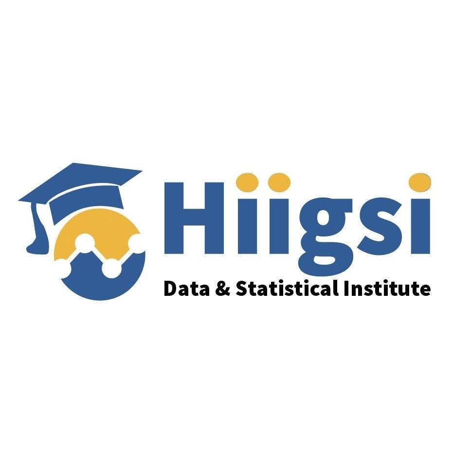 Hiigsi Data & Statistical Institute
